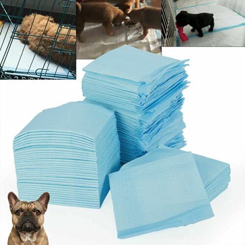 XIANXUS 100 x Empapadores Perros Almohadillas de Entrenamiento para Cachorros Almohadillas de Inodoro para Orinar de Mascotas Domésticas Pañales de Gatos Conejos 33 x 45 cm