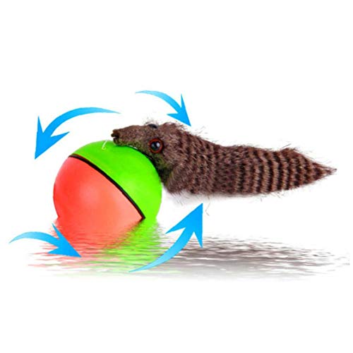 xiaocheng Beaver Pelota Perro Mascota Gato de Juguete Divertido comadreja Suministros Bola rodante eléctrico de Juguete del Animal doméstico del Animal doméstico 1pcs para tiernas Mascotas