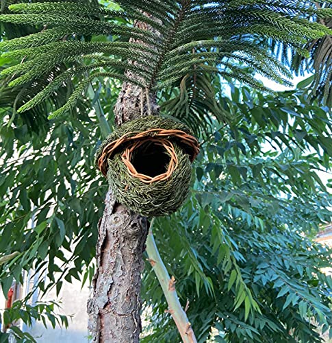 XIAOHUAHUA Cueva De La Jaula De La Jaula De Pájaro Tejida A Mano Y Cueva De Cría, Adecuada para Loros, Canarios O Lorikeets U Otras Aves