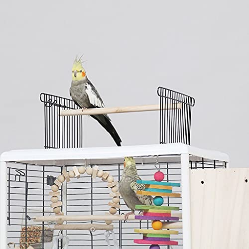 XIAOSAKU Casa de Ave a Gran Escala Jaula de pájaros Metal Loro Interactivo Jaula con Caja de cría y Jaula de Aves, Usado para myna Loro Canario Amor pájaro Viento Negro Loro (Color : A)