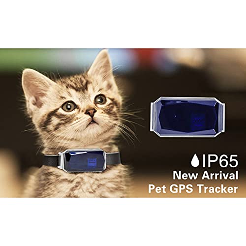 XINTONGSPP Dispositivo de Seguimiento de Mascotas, Dispositivo de rastreo GPS a Prueba de Agua GPS, Utilizado para guiar Perros, Mascotas, Vacas, Caballos y Gatos