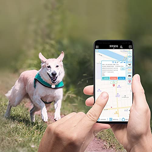 XINTONGSPP Dispositivo de Seguimiento de Mascotas, Mini localizador GPS Bell Pet Pet Pet Dog Cat DESPUÉS DE Tracking DE Tracking Anti-Pedido,Negro