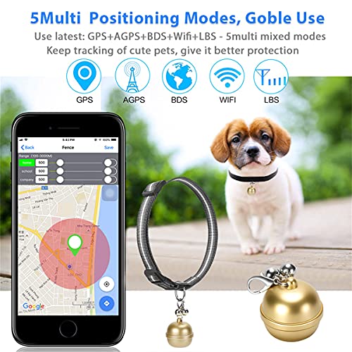 XINTONGSPP Equipo de Seguimiento de Mascotas, Pet Smart GPS Localizador Bola Anti-perdida Collar de posicionamiento WiFi Seguimiento en Tiempo Real para Pet Dog Cat,Plata