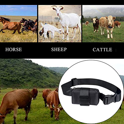 Xpccj Rastreador GPS Tractive para Perros, Collar de Seguimiento GPS de pastoreo, Rango Ilimitado, Monitor de Actividad, Impermeable, transmisor GPS para protección de pastoreo de Campo