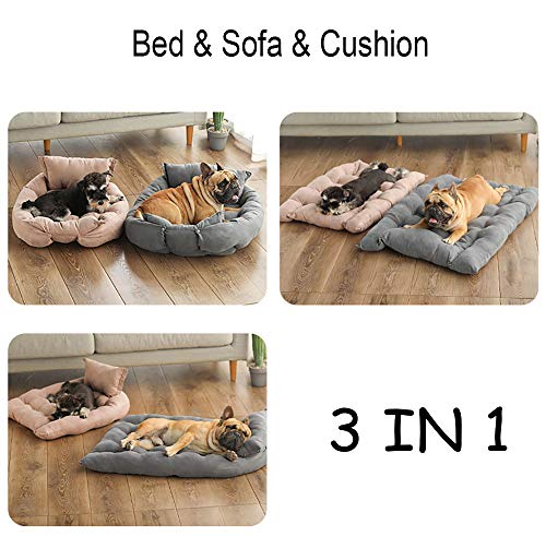 Xpnit Cama ortopédica para perro, sofá y cojín 3 en 1, cama plegable de lujo, lavable para perros, cama para perros pequeños y medianos (M,Verde)