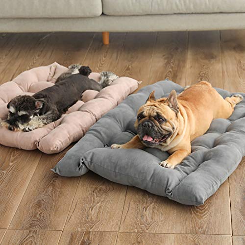 Xpnit Cama ortopédica para perro, sofá y cojín 3 en 1, cama plegable de lujo, lavable para perros, cama para perros pequeños y medianos (M,Verde)