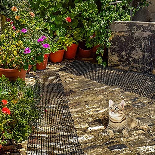 XWGX Picos de Animales Mat Anti Bird, Palomas, Cuervos, gaviotas, Perros Control de Gatos Deterrance Repels: Protege Las Plantas en los Jardines (Tamaño: 2m * 30cm) (Color : Black)