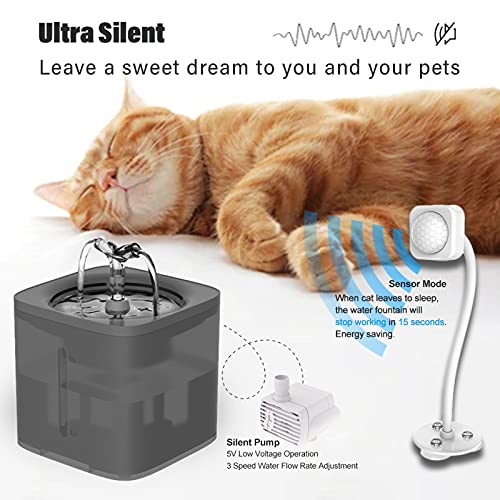 XXW Fuente De Agua para Mascotas, 67 Oz / 2L Fuente Transparente Automática Ultra Silenciosa para Mascotas, Dispensador De Agua para Gatos con 2 Ajustes De Flujo De Flores,Gris,A