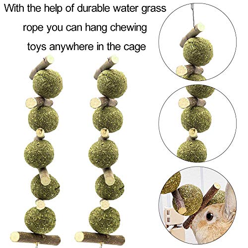 XYDZ 2PCS Juguete para Masticar Conejo, Palo de Natural Manzana Palos de Madera Hierba Natural Bola para Juguete para Moler Dientes para Conejo Hámster Loro Chinchillas Cobayas Gerbos Ratas Masticar