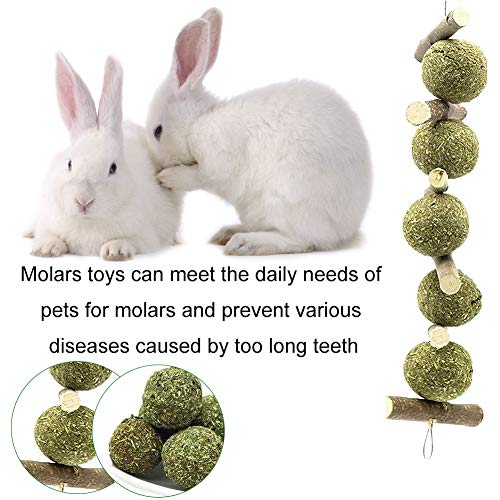 XYDZ 2PCS Juguete para Masticar Conejo, Palo de Natural Manzana Palos de Madera Hierba Natural Bola para Juguete para Moler Dientes para Conejo Hámster Loro Chinchillas Cobayas Gerbos Ratas Masticar