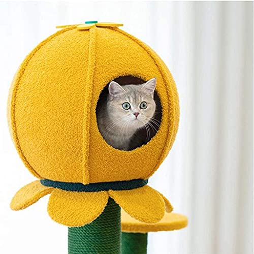 YAMMY Pino Marco de Escalada para Gatos Arena para Gatos Árbol para Gatos Un Corredor silencioso Cinta para Correr Castillo para Gatos Manta de sisal Gris Árbol para Gatos (árbol para Gatos)