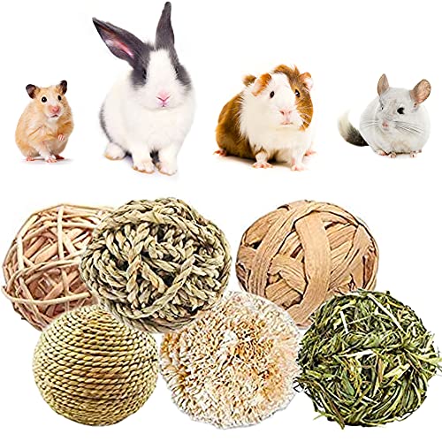 YANGWX Conejo de conejillo de indias hámster conejito masticar, juguetes de chinchillas de madera natural, juguete molar para hámster, conejos jerbos loros de aves (7 cm y 10 cm)