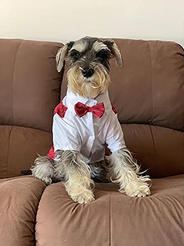 YAODHAOD Esmoquin de Perro a Rayas con Corbata, Traje de Perro para Fiesta de cumpleaños de Boda, Traje de Pajarita, Ropa para Mascotas para Perros pequeños (Rojo, X-Large)