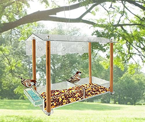 YAOLUU Comedero Exterior para Pájaros Ventana Clara Alimentador de Aves con ventosas Fuertes Birdhouses para Patio Exterior Decoración de jardín Alimentador de pájaros Colgantes para pájaros