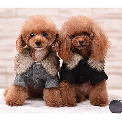 YAOTT Abrigo de Invierno para Perros Chaleco Forro Polar de Estilo Británico con Cuello de Piel Chaqueta para Clima Frío Ropa de Perro Cálido para Mascotas pequeñas y Medianas Espesador Gris M