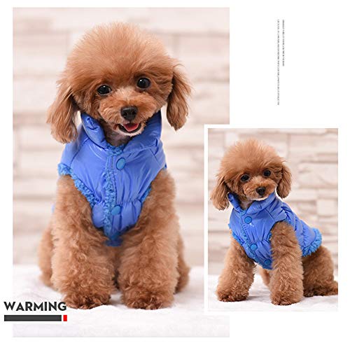 YAOTT Chaleco para Perros con Forro Polar, Chaqueta Impermeable de Plumas Abrigo de Invierno Cálido, Resistente al Viento, para Perritos Gatos, Mascotas, Yorkshire, Chihuahua Azul XXL