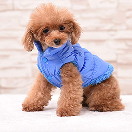 YAOTT Chaleco para Perros con Forro Polar, Chaqueta Impermeable de Plumas Abrigo de Invierno Cálido, Resistente al Viento, para Perritos Gatos, Mascotas, Yorkshire, Chihuahua Azul XXL