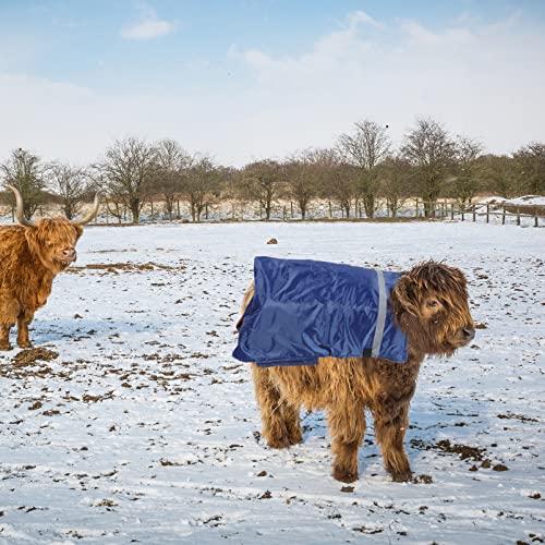 YARNOW Abrigo de Becerro a Prueba de Agua Manta de Ternera Ganadería Ropa de Calvas de Ropa Farm Animales de Granja Suministros para Granja Naranja