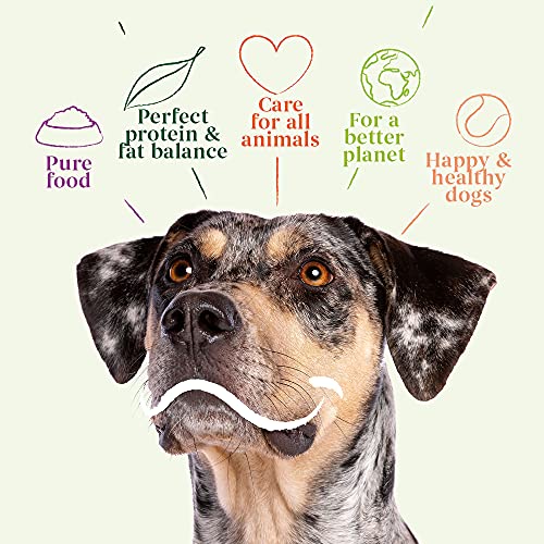 YARRAH Comida Seca orgánica para Perros Vega sin Trigo – Sabrosa Vegetariana con Frijoles de Soja orgánicos, Aceite de Coco, Lupa Blanca y Baobab – Apto para Todo Tipo de Perros Adultos – 10 kg