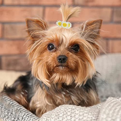 Yirepny Pinzas para el pelo para mascotas – Lindas horquillas en forma de girasol, accesorios para el pelo para perros y gatos, productos de aseo para mascotas con pinzas de cocodrilo, A