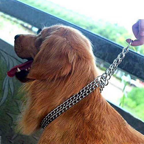 Yisatann Collar de Cadena para Perros Cadena de adiestramiento para Perros Collar de estrangulación para Mascotas Cadena de Metal de Doble Fila Collar Deslizante de Acero Inoxidable-XL