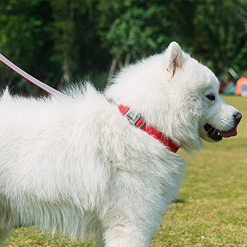 Yisatann Correas de adiestramiento caninas Correa de Nylon para Perros Collares Reflectantes para Perros de Color Rojo Cuerda de Plomo Ajustable-XS