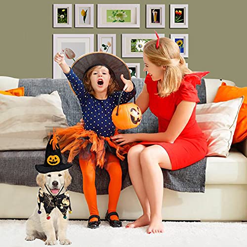 YISKY Halloween Gato y Decoración Perro, 2 Piezas Disfraces Halloween para Mascotas, Disfraz Cosplay para Mascotas, Sombrero Bruja para Mascota, Bufanda, Disfraz Patrón Telaraña, Halloween Decoración