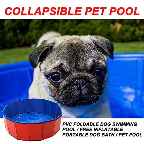 Yisscen Piscina para Perros,Plegable Piscina para Niños Bañera Portátil Bañera para Mascotas PVC Piscina Plegable para Perros Piscina Antideslizante para Perros y Gatos,para Perros,Mascotas y Niños