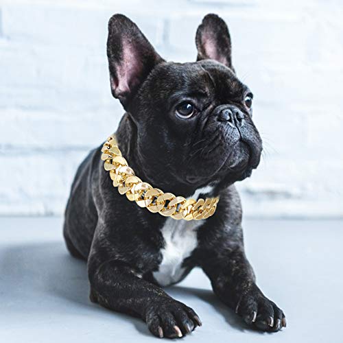 Yissone Collar de Collar para Mascotas Accesorios de Cadena de Metal para Perros Estilo Hip-Hop Personalizado Estilo Pequeño para Cachorro Mediano Pequeño Peluche Bulldog Francés Oro 15