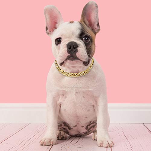 Yissone Collar de Collar para Mascotas Accesorios de Cadena de Metal para Perros Estilo Hip-Hop Personalizado Estilo Pequeño para Cachorro Mediano Pequeño Peluche Bulldog Francés Oro 15