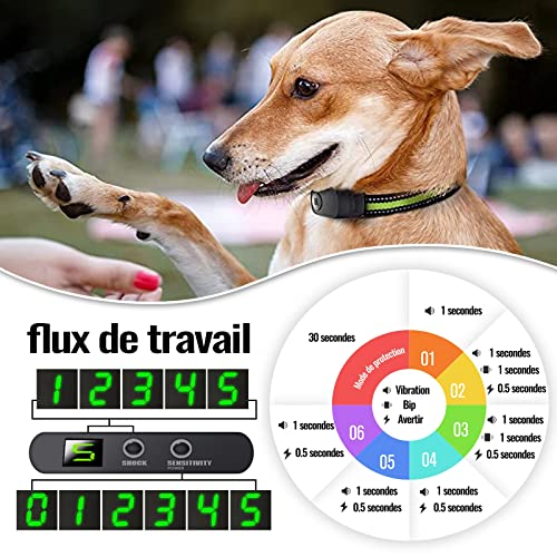 YOKISS Collar Antiladridos Perros Recargable, Collar Adiestramiento Perros con Modo de Sonido Vibrante - 2 Tiras Ajustables para Perros Pequeños Medianos Grandes, Resistente al Agua IP67