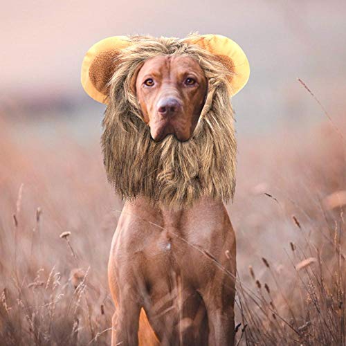 YOUTHINK Creativo Lindo Mascota Gato Perro León Peluca Sombrero Disfraz Divertido Vestir Mascota León Peluca Vestir