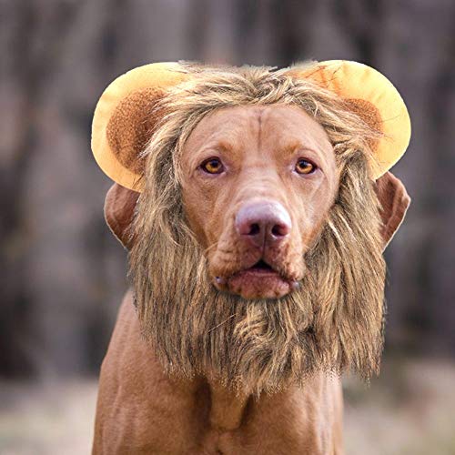 YOUTHINK Creativo Lindo Mascota Gato Perro León Peluca Sombrero Disfraz Divertido Vestir Mascota León Peluca Vestir