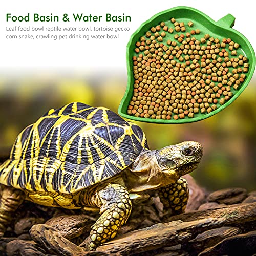 YUENX 2 Piezas Platos Tazones de Agua de Alimentos de Reptil, Mascota Beber y Comer Cuenco de Agua de Comida para Reptiles, Plato de Agua para Tortuga, Geco, Serpiente, Mascotas (Verde)