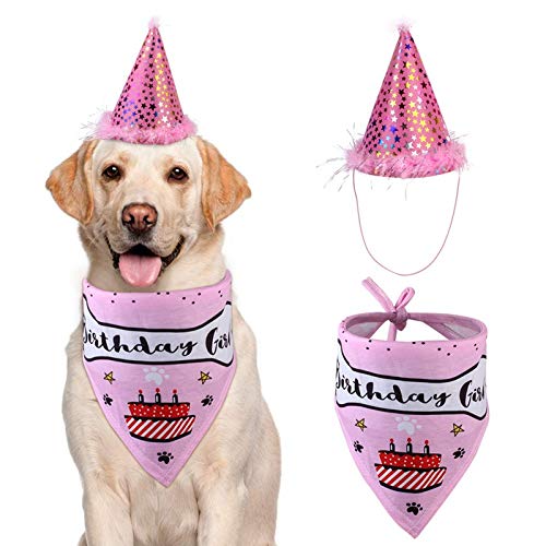 YUET Perrito Gato Cumpleaños Sombrero Bandana Collarín Corbatas Fiesta Fancy Dress