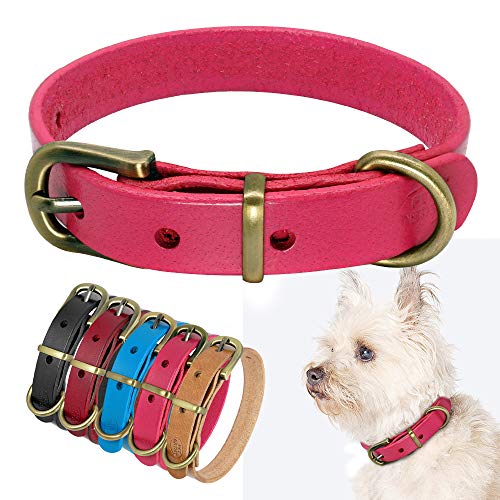 YXDZ Collar De Perro De Cuero Liso para Perros Pequeños Medianos Collar De Perro Ajustable para Cachorro De Mascota para Chihuahua Yorkie Pug Poodle Bulldog Francés