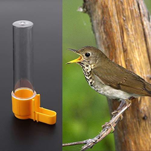 Yyooo Agua Pajarera Papagayo Forro automático – napf Jaula Clip Bird Supply