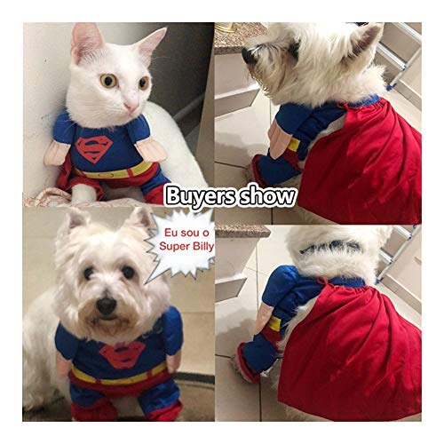 Z-Y Ropa para Mascotas Perros Escudo for la Capa Perros Se admiten Pequeño Traje Chihuahua Ropa Divertida Ropa for Perros Perrito del Traje (Color : Superman Custome, Size : 2)