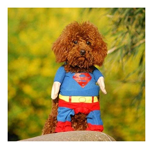 Z-Y Ropa para Mascotas Perros Escudo for la Capa Perros Se admiten Pequeño Traje Chihuahua Ropa Divertida Ropa for Perros Perrito del Traje (Color : Superman Custome, Size : 2)