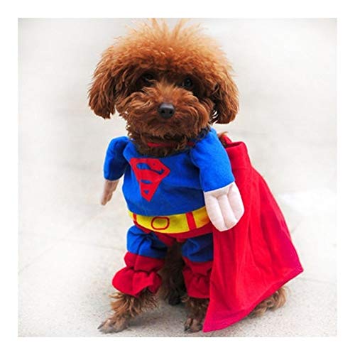 Z-Y Ropa para Mascotas Perros Escudo for la Capa Perros Se admiten Pequeño Traje Chihuahua Ropa Divertida Ropa for Perros Perrito del Traje (Color : Superman Custome, Size : 2)