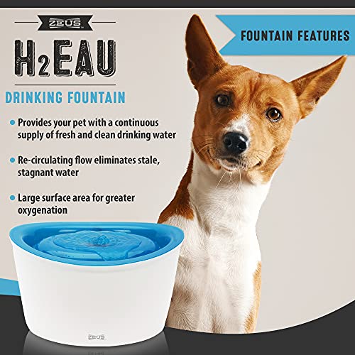 Zeus Dogit Bebedero Design, 6 L