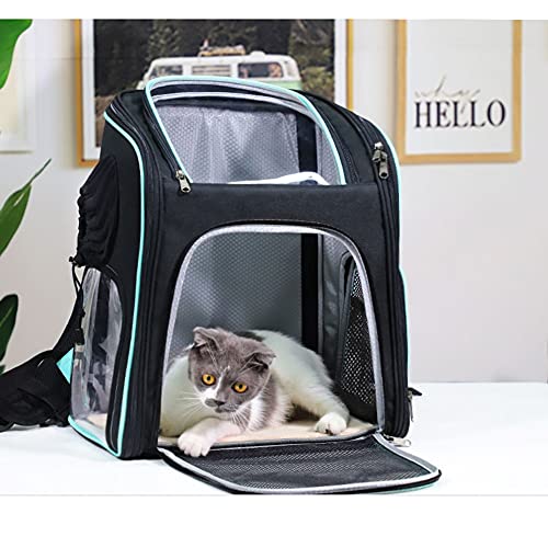 ZHANGXJ Perros Bolsa de Transporte para Mascotas Mochila Gato Mochila Transparente MallaTranspirable Espaciosa Plegable,Ideal para Viajes Uso al Aire Libre Tren Trekking (Color : Sky Blue)