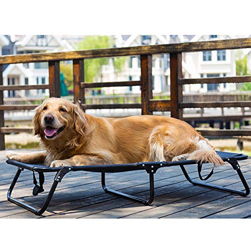 Zidao Perro Elevada Cama para Mascotas Cuna, Grande Portátil Plegable Frío para Medianas Y Grandes Perros Portátil para Acampar O La Playa,Negro