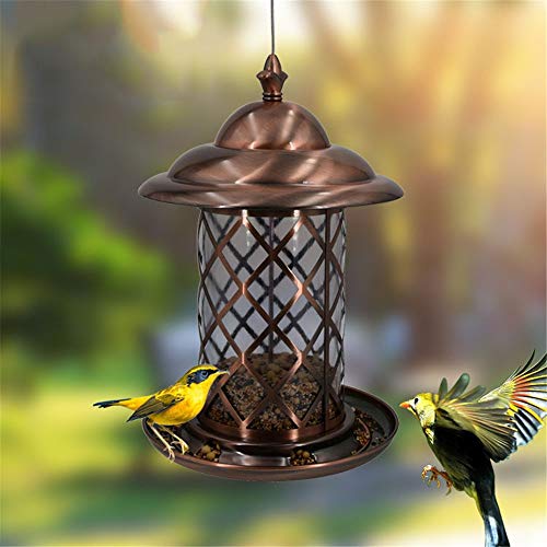 ZoSiP Bird Bird Feeder Vajilla Alimentadores automáticos de Metal alimentación de Aves Las Aves Loro Carrier Palomas Alimentos Trough Guía de Suministros al Aire Libre Aves