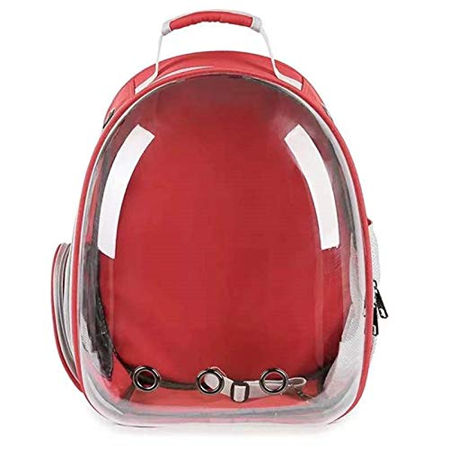 ZPFDM Mochila portadora de Mascotas, Malla Transpirable para Perros pequeños, Gatos, Bolsa de Mochila para excursiones para Caminatas, Acampada, se admiten Mascotas hasta 15 Libras,Rojo