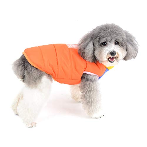 Zunea Impermeable Abrigo Chaqueta para Perros Pequeños Invierno Cachorro Arnés Chaleco Ropa Caliente Chaleco de algodón con Anilla en D para Mascota Gato Perros pequeños niño y niña Naranja XXL