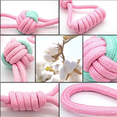 Zuzer Juguetes Perros,Juego de Juguetes para Perros,Dog Rope Toys Chew Toys para Cachorros Pequeños y Medianos Set de 8 Juguetes