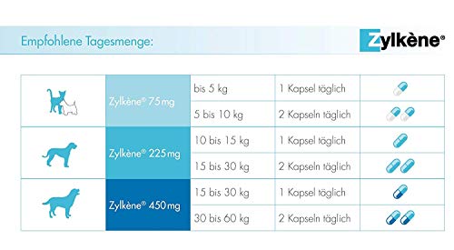 Zylkene 450 mg, 50 cápsulas (5 x 10 cápsulas), alimento suplementario para perros, lo que ayuda a controlar la ansiedad y las situaciones estresantes