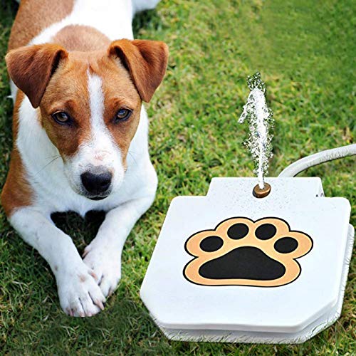 01 Fuente de Agua para Mascotas, Fuente de Agua Potable para Perros al Aire Libre, Sistema dispensador de Agua automático Que se Activa fácilmente con la Pata para Mascotas Grandes y pequeñas