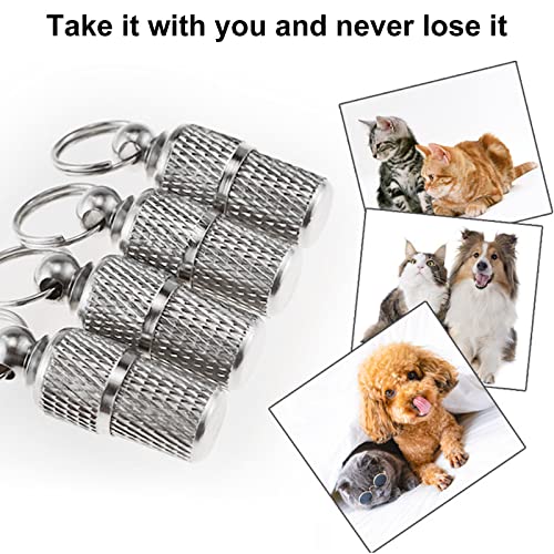 10 piezas Chapa Identificativa Perro,Collar de Gato, Placas Identificativas, Etiqueta de Identificación Anti-Perdido, para Collar Perro y Collar Gato Accesorios para Mascotas Decoraciones Llavero